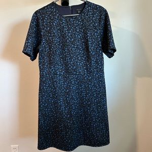 Ann Taylor A-line Dress EUC 10
